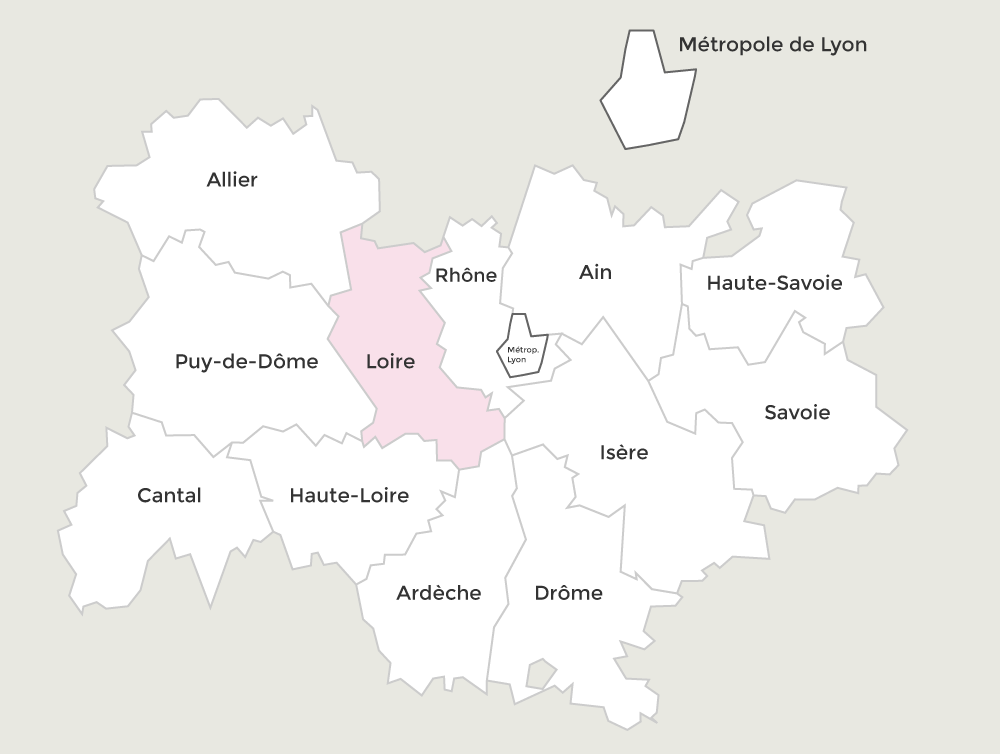 Les Conseillers régionaux de la Loire